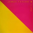 画像1: JAMES TAYLOR / Flag