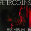 画像1: PETER COLLINS / First Album