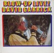 画像1: DAVID GARRICK / Blow Up Live