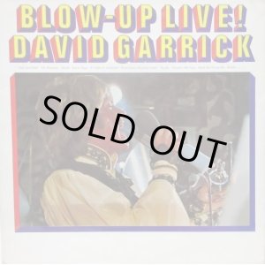 画像: DAVID GARRICK / Blow Up Live