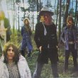 画像1: MOTT THE HOOPLE / Wildlife