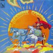 画像1: SUNSHINE COMPANY / The Sunshine Company