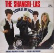 画像1: SHANGRI-LAS / Leader Of The Pack