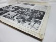 画像7: ANITA HARRIS / Somebody's In My Orchard