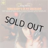 画像: ANITA HARRIS / Somebody's In My Orchard