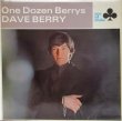 画像1: DAVE BERRY / One Dozen Berrys