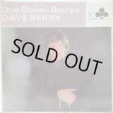 画像: DAVE BERRY / One Dozen Berrys
