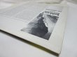 画像8: BILLY LARKIN & THE DELEGATES / Hold On!