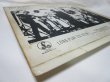 画像9: HOLLIES / Hollies