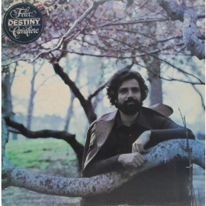 画像: FELIX CAVALIERE / Destiny