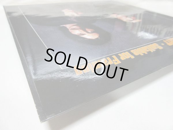 画像5: THREE DOG NIGHT / Suitable For Framing