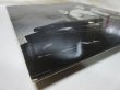 画像6: DONALD FAGEN / The Nightfly