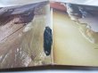 画像8: CAROLE KING / Music (Reissue)