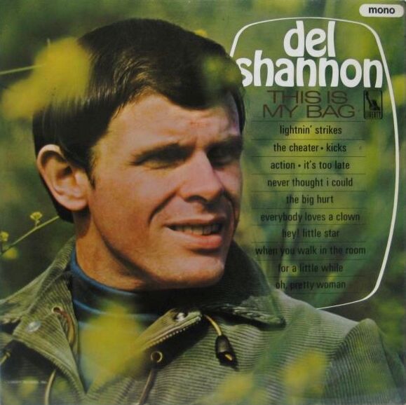 画像1: DEL SHANNON / This Is My Bag