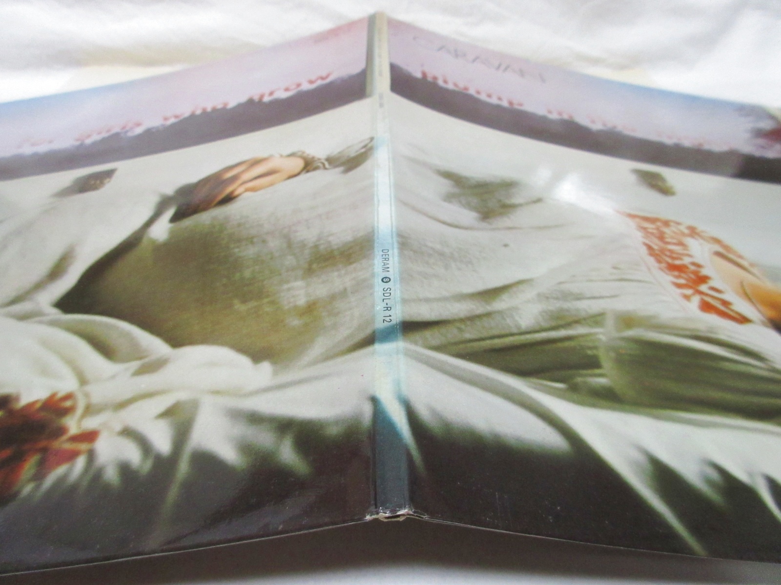 画像: CARAVAN / For Girls Who Grow Plump In The Night