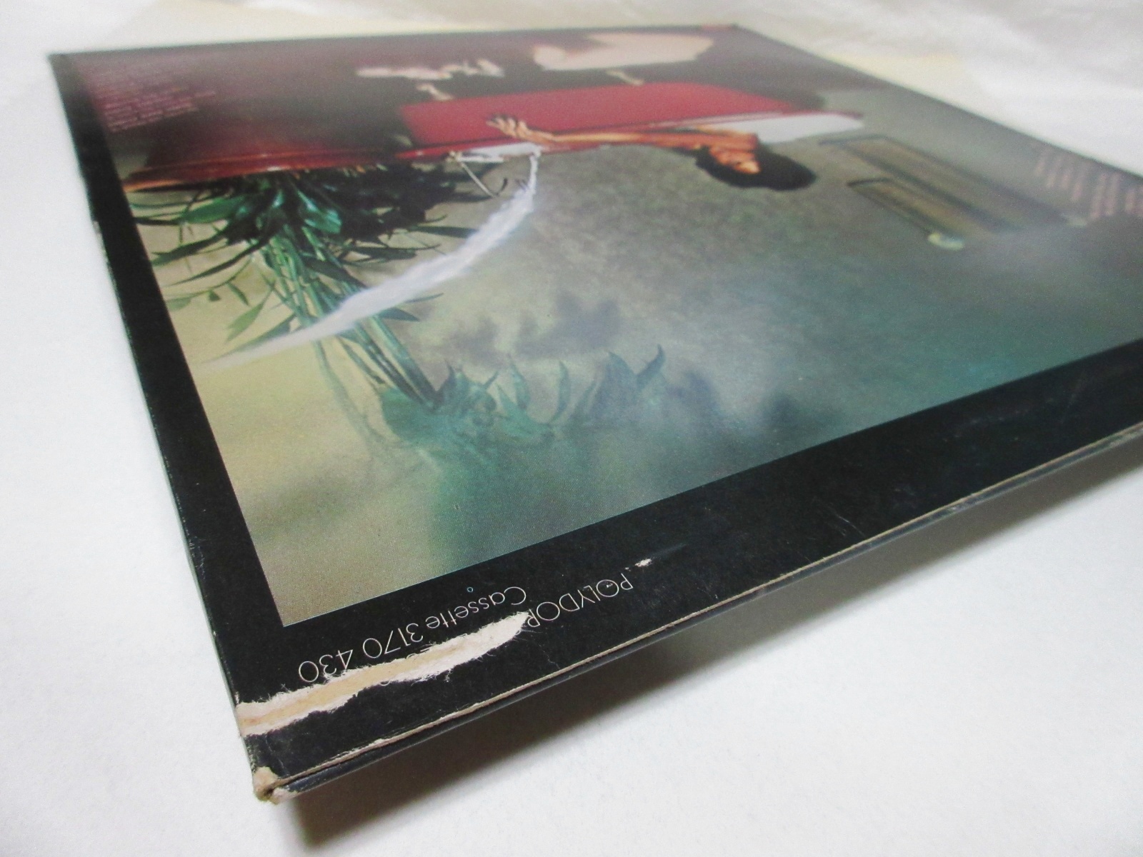 画像: JOHNNY BRISTOL / Bristol's Creme