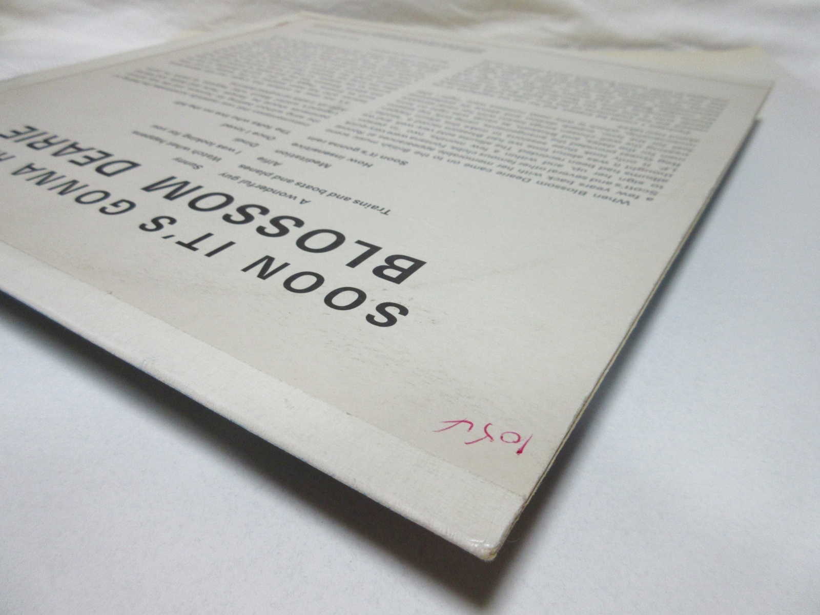 画像: BLOSSOM DEARIE / Soon It's Gonna Rain