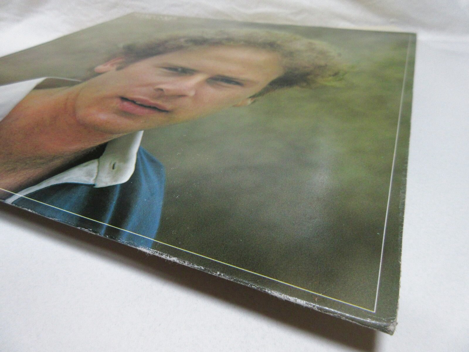 画像: ART GARFUNKEL / Angel Clare