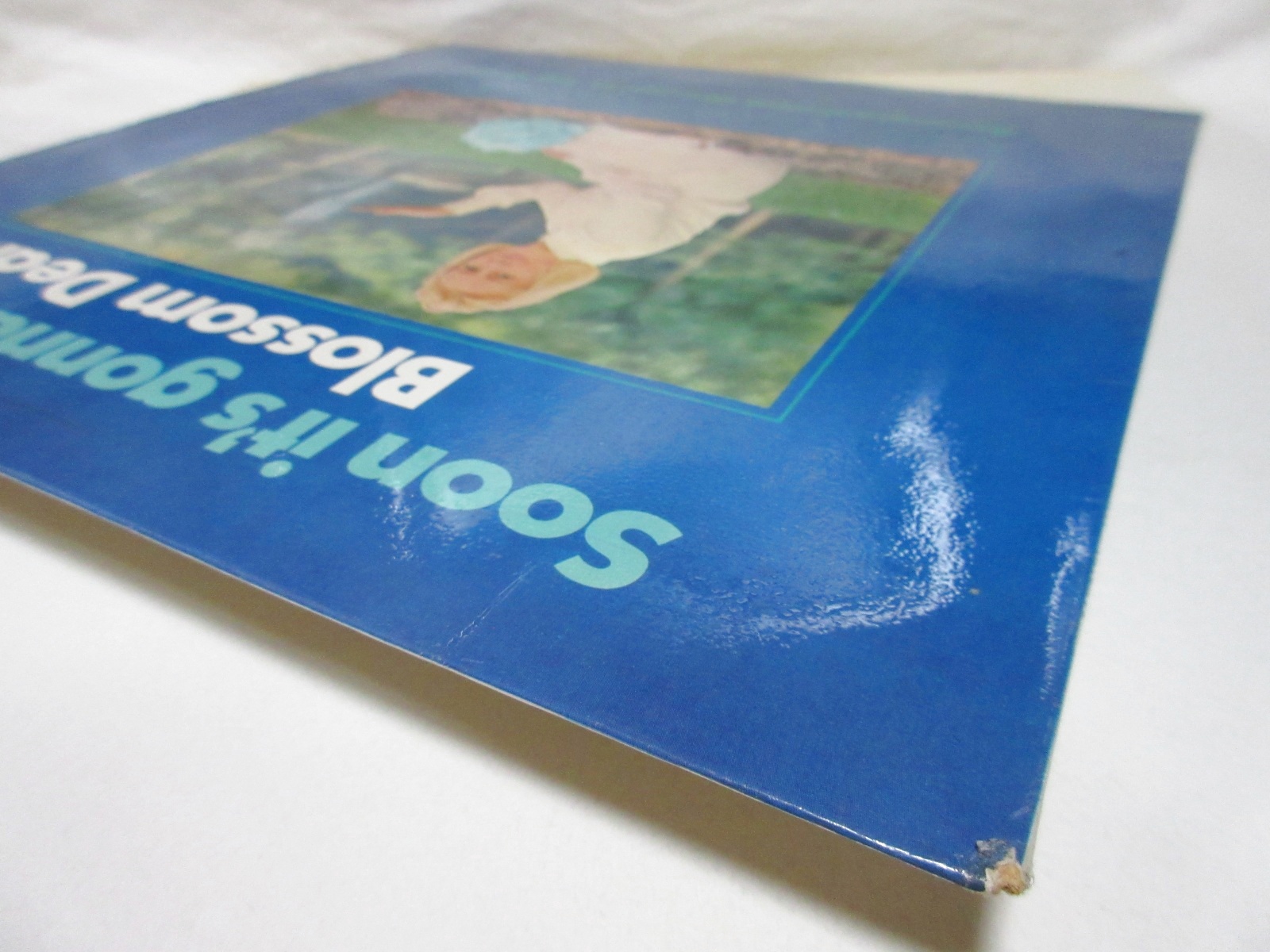 画像: BLOSSOM DEARIE / Soon It's Gonna Rain