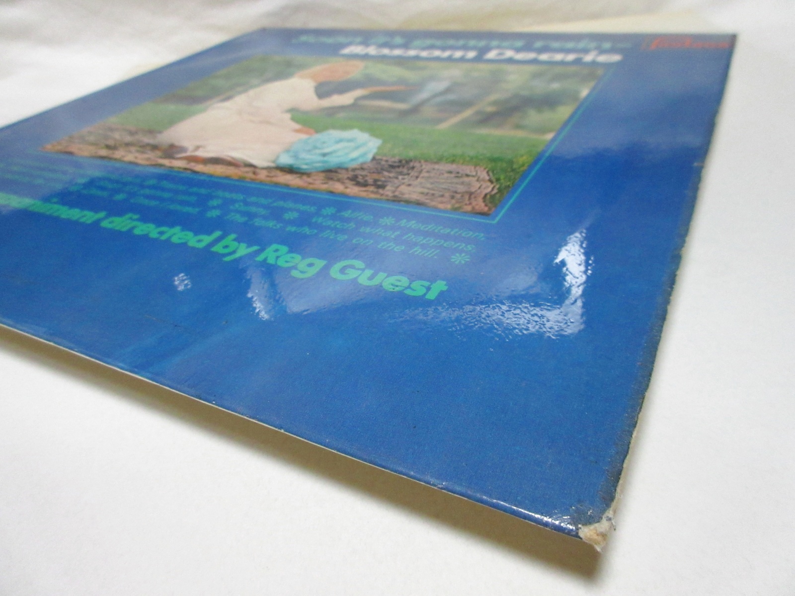 画像: BLOSSOM DEARIE / Soon It's Gonna Rain